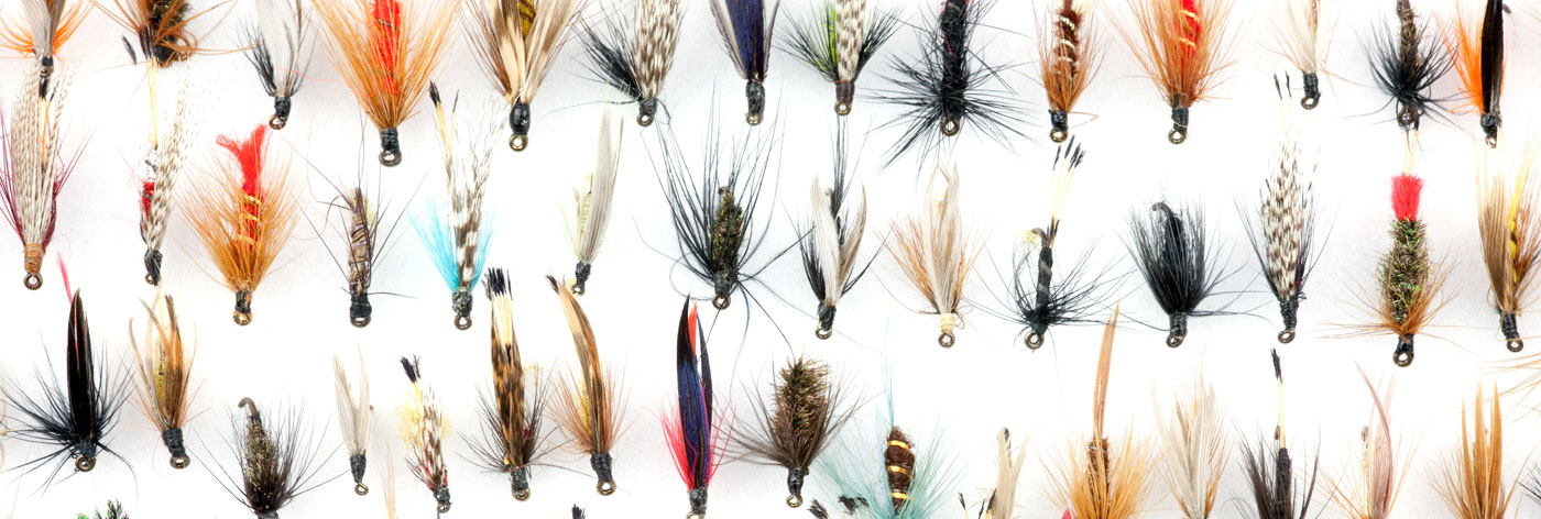 Demystifying Types of Flies, Big Ed's Fishing Ventures, Summit County